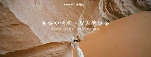Wenpeizi Automatic Home Fragrance Diffuser
